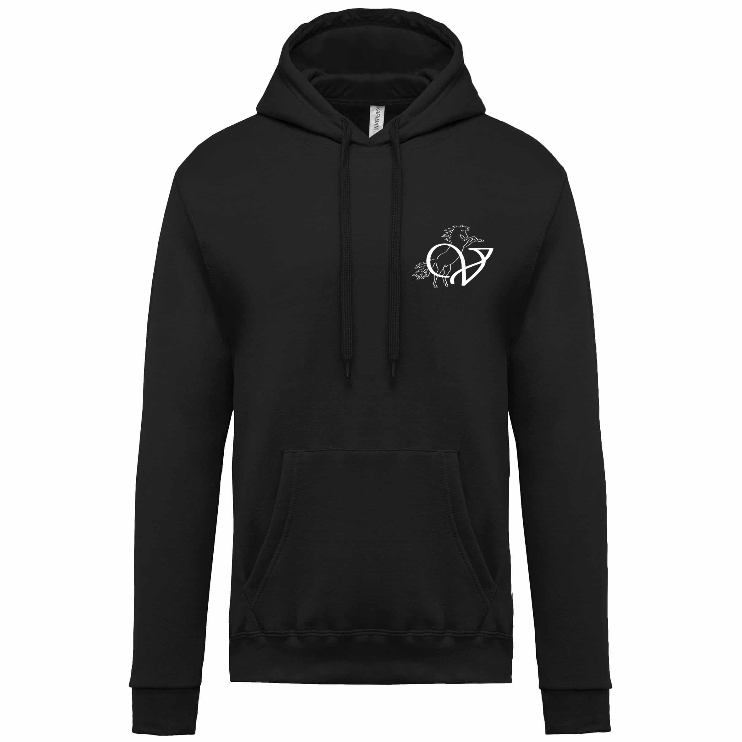 Image Sweat à capuche 432